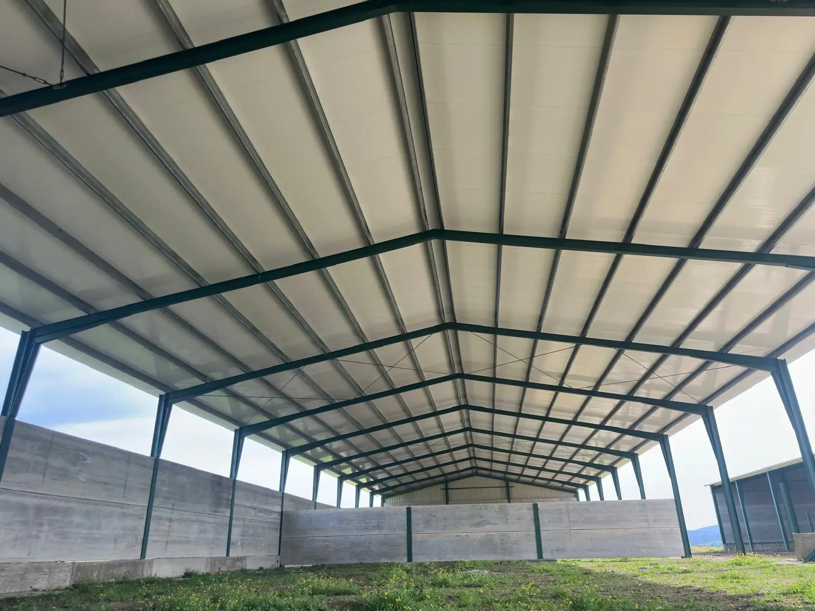 Cebadero de terneros en Carcaboso